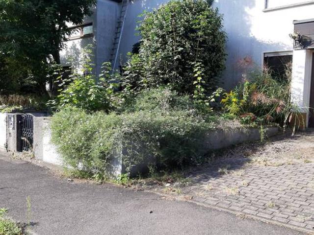 Freistehendes Einfamilienhaus m. Doppelgarage