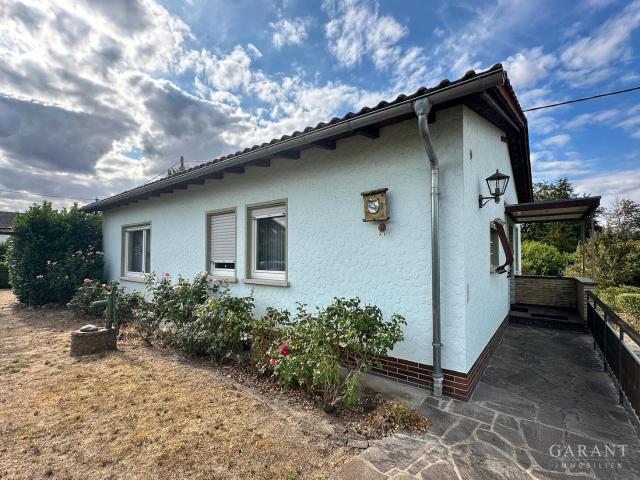 Freistehendes Einfamilienhaus mit eigenem Wald und riesigem Garten im Grünen