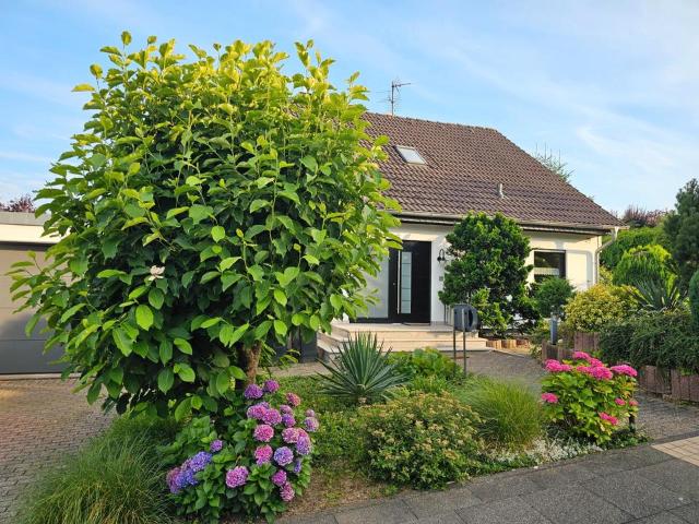 Freistehendes Einfamilienhaus mit Einliegerwohnung in Top Lage
