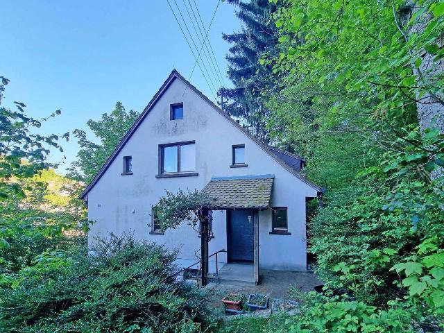 Freistehendes Einfamilienhaus mit separatem Baugrundstück in idyllischer Waldrandlage von Schönau