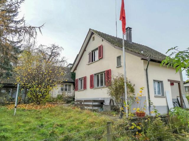 Freistehendes Einfamilienhaus mit Potenzial, separater grossen Werkstatt /Garagengebäude