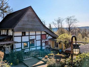 Haus kaufen in Stadtwald, Essen - Garten