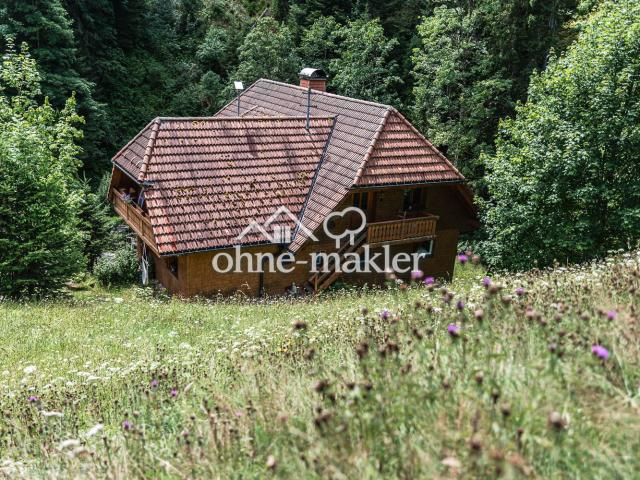 FREISTEHENDES HAUS IM SCHWARZWALD MITTEN IN DER NATUR – Mit Bach, Wiese & Wald + Gewerbepotential