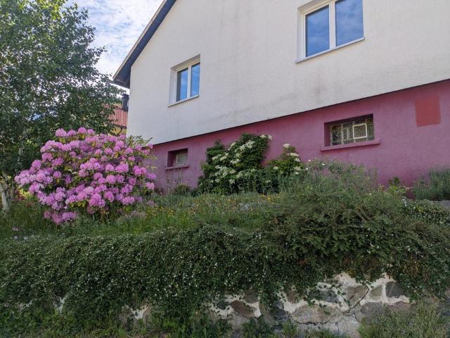 Freistehendes Haus in Todtnau Brandenberg