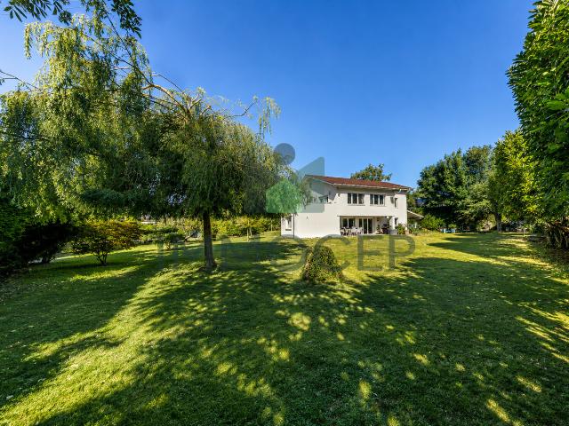 Freistehendes Haus mit 5 geräumigen Schlafzimmern und grossem Grundstück in Founex