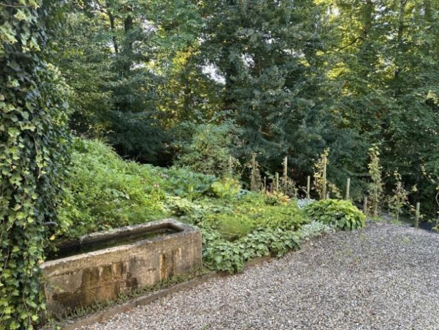 Freistehendes 5.5 Einfamilienhaus für Architekturliebhaber