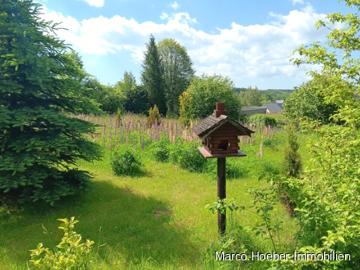 Schönfeld, Pfaffroda, Erzgebirgskreis, Sachsen