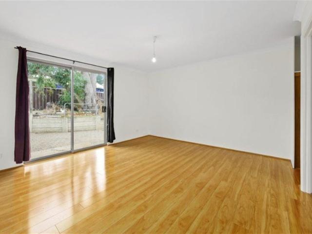 Fresh & Cozy Family Home in South Lake!