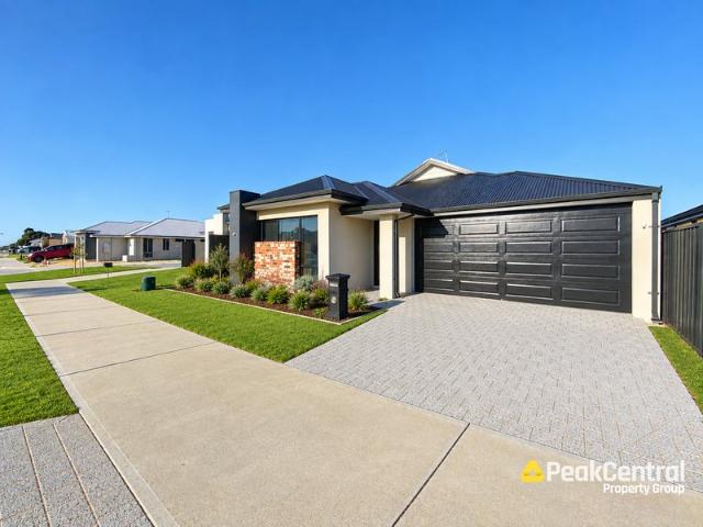Fresh, Modern Living in Baldivis