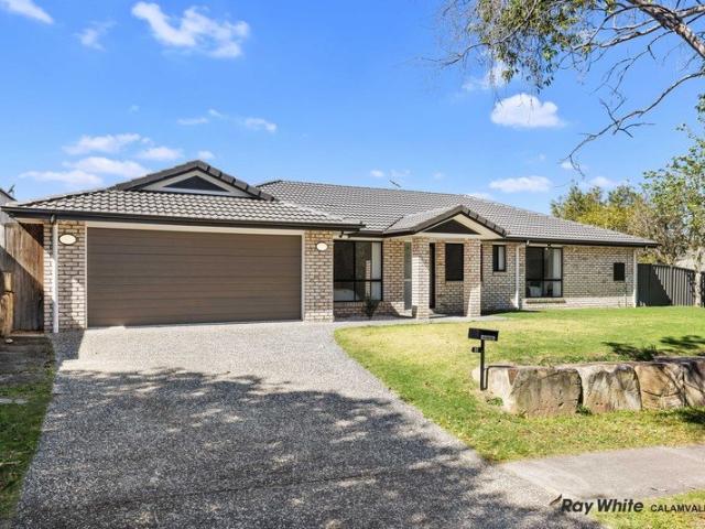Freshly Painted and Fully Renovated Family Home in the Stretton State College Catchment