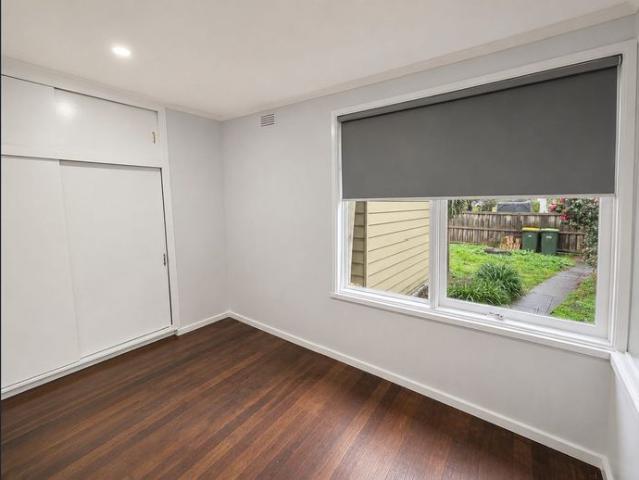 Freshly Painted and Renovated 4 Bedroom Home with Two Large Living Areas & Large Rear Shed