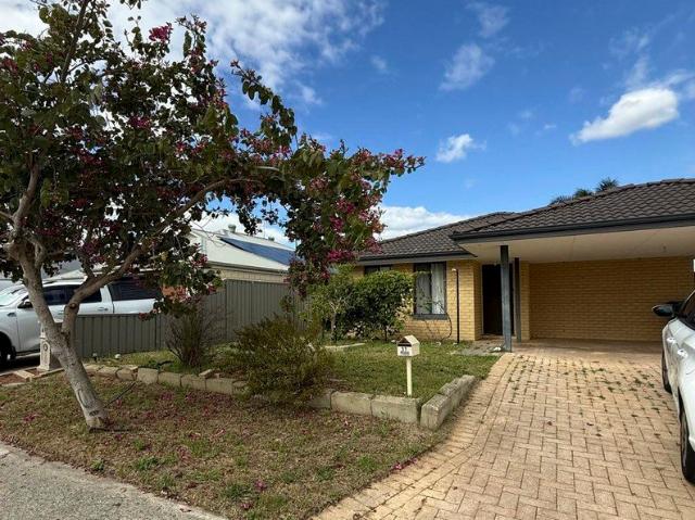 FRESHLY PAINTED SPACIOUS MULTI LIVING 3x2 HOME