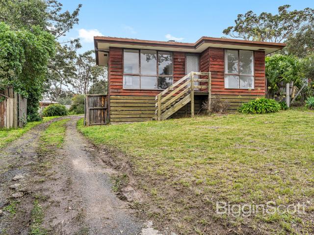Freshly Refreshed Home in a Convenient Hampton Park Location