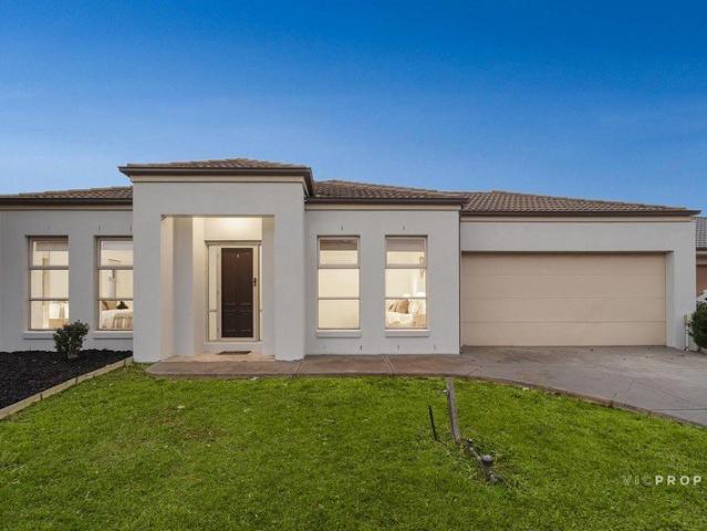 Freshly Renovated 5 Bedroom Family Home on 608sqm in Alamanda