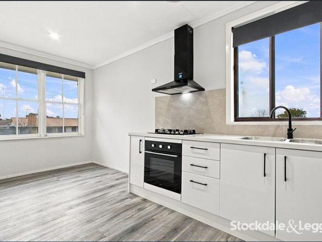 Freshly Renovated 2 Bedroom Home with Secure Yard