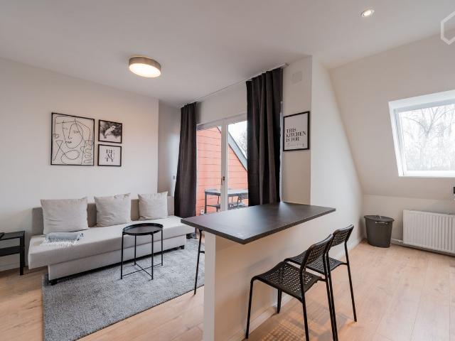 Freshly renovated 3 Bedroom Penthouse in a nice neighborhood, Berlin Amsterdam Apartments for Rent