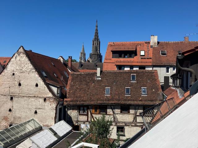 Freshly renovated top floor apartment in Ulm with high quality herringbone parquet flooring, Ulm Amsterdam Apartments for Rent
