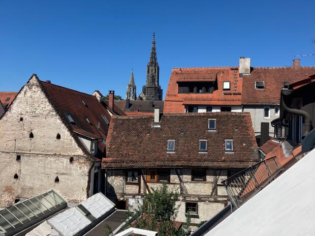 Freshly renovated top floor apartment in Ulm with high quality herringbone parquet flooring