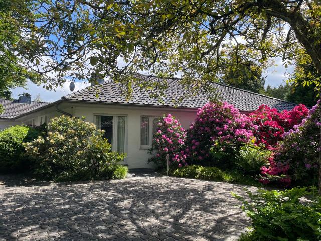 Freshly renovated two room flat on villa plot, new furniture, 20 minutes from Düsseldorf and Essen, Ratingen Amsterdam Apartments for Rent
