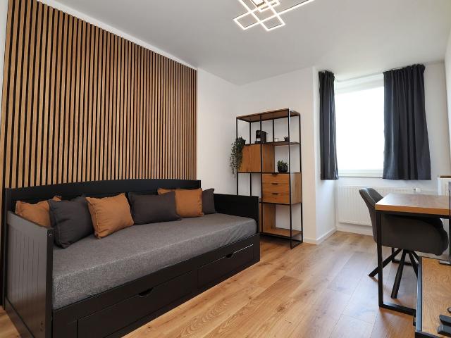 Freshly renovated and furnished apartment ideal combination of living comfort, peace and central location, Mainz Amsterdam Apartments for Rent