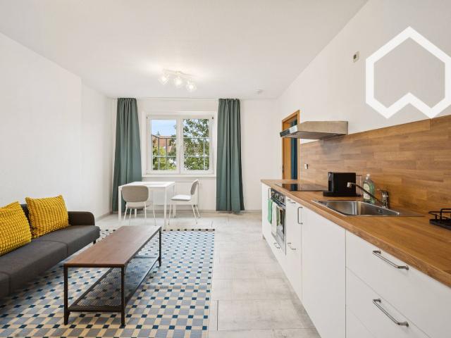 Freshly renovated apartment in a quiet location in Dresden Pieschen, Dresden Amsterdam Apartments for Rent