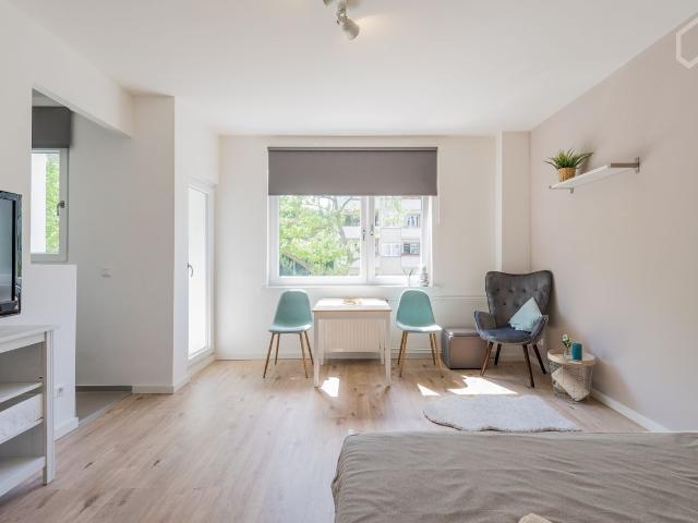 Freshly renovated Apartment, with beautiful Park in front of the Door and S/W Balcony, Berlin Amsterdam Apartments for Rent