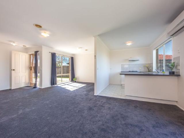Freshly Renovated Charming Home