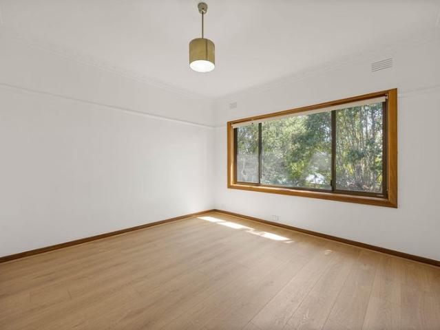 Freshly Renovated Four Bedroom Home in the Heart of Newcomb