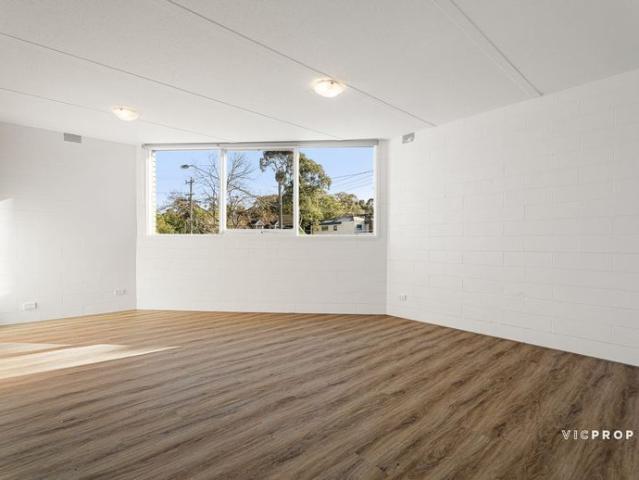 Freshly Renovated Living with a Private Courtyard