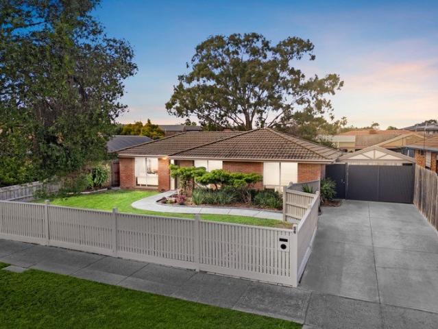 Freshly Renovated, Perfectly Positioned