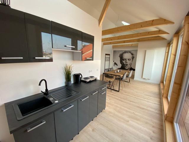 Freshly renovated Rooftop Apartment with big terrace, Leipzig Amsterdam Apartments for Rent