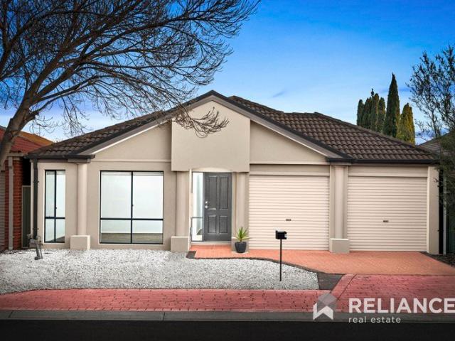Freshly Upgraded | North Facing & Low Maintenance | Move In Ready
