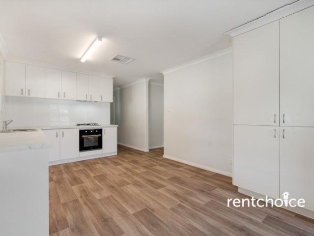 Freshly Upgraded Family Gem on a Huge Corner Block!