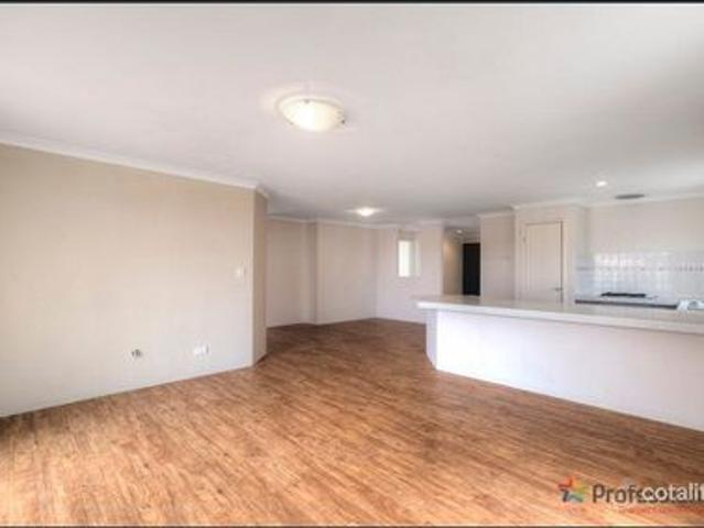 Freshly Updated 3x2 house in a Quiet, Convenient Location!