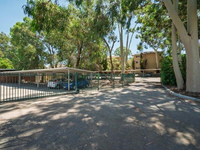 Freshly Updated Apartment in the Heart of Maylands