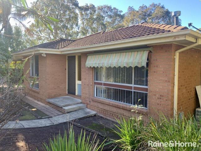 Freshly Updated Family Home with Entertainer's Courtyard