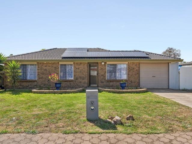Freshly Updated Family Living