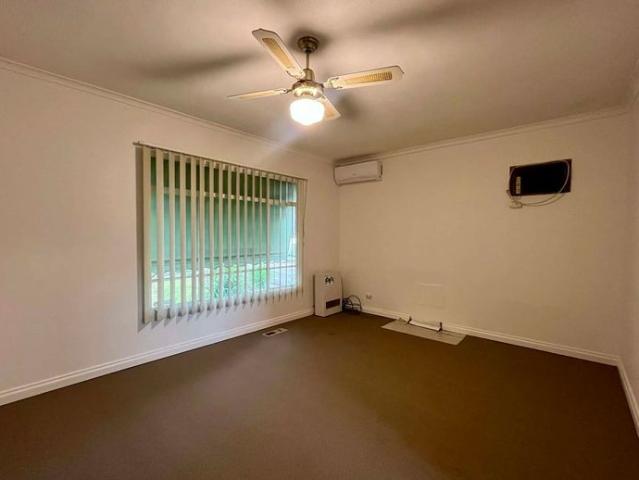 Freshly Updated Home with Large Backyard & Shed