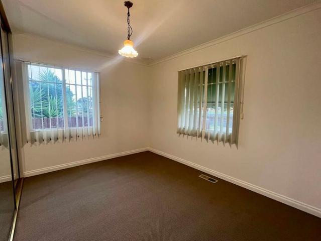 Freshly Updated Home with Large Backyard & Shed