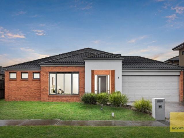 Freshly Updated & Move In Ready: The Ultimate 'Leave the Car Behind' Lifestyle on 527m²!