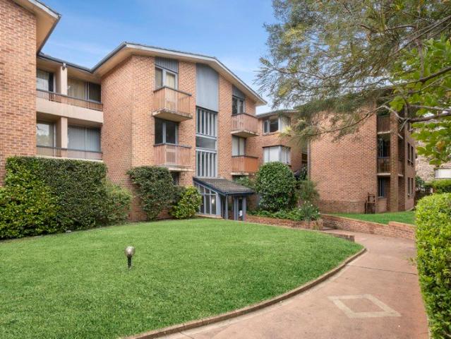 Freshly Updated, Spacious and Full of Light in Chatswood