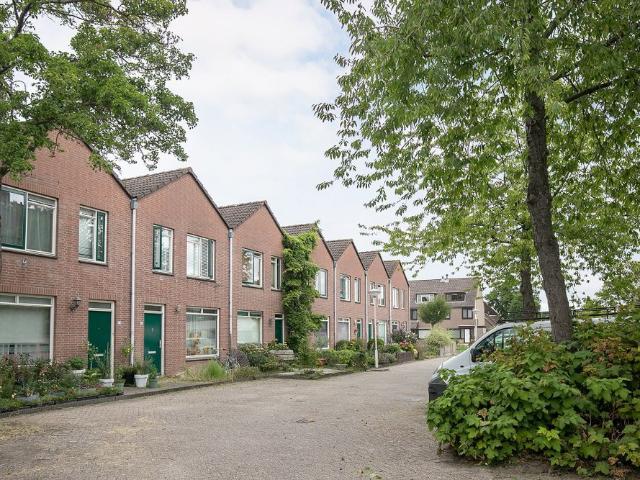 Fritz Langstrook, 22, Zoetermeer
