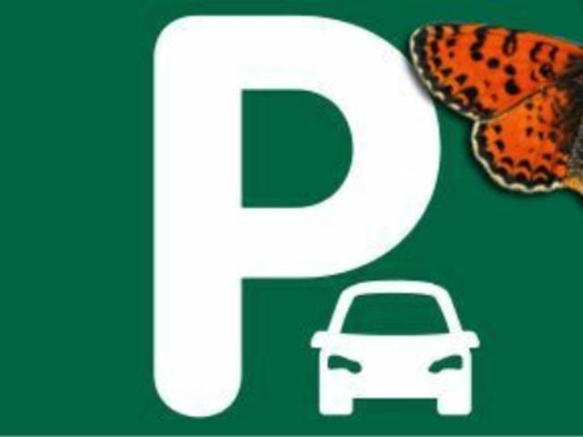 FRIBOURG – Parkplatz Auto Innenraum