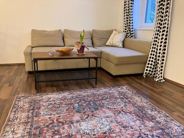 Friendly 2 Room Aparment, 12 Minutes to Stephansplatz, Vienna Amsterdam Apartments for Rent