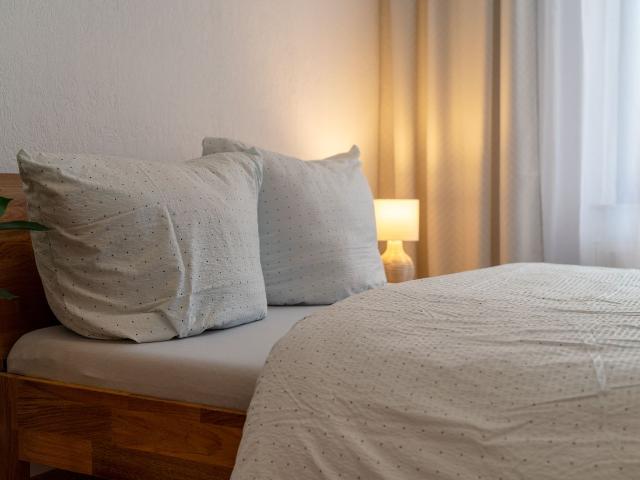 Friendly 2 room apartment centrally located between Stadtpark and Wöhrdersee, Nurnberg Amsterdam Apartments for Rent