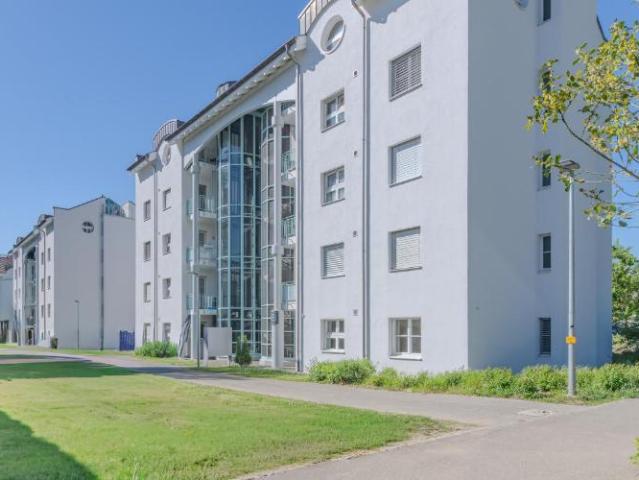 Frisch gestrichene Wohnung? Hier sind Sie an der richtigen Adresse!