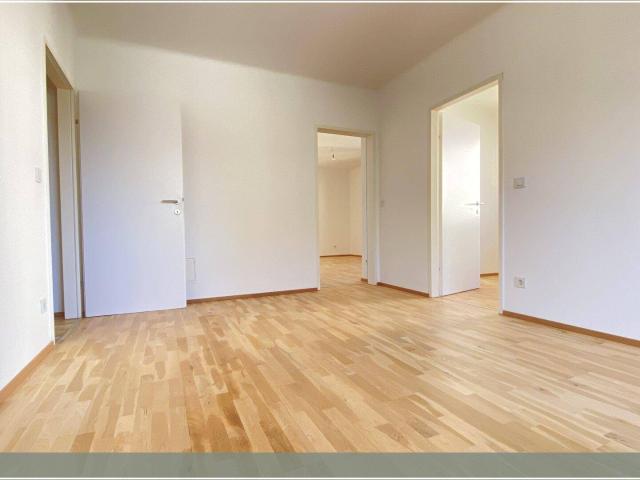 Frisch hergerichtete 3 Zimmer Wohnung mit neuer Küche
