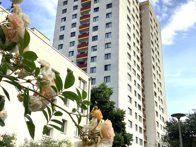 Frisch modernisierte Singlewohnung