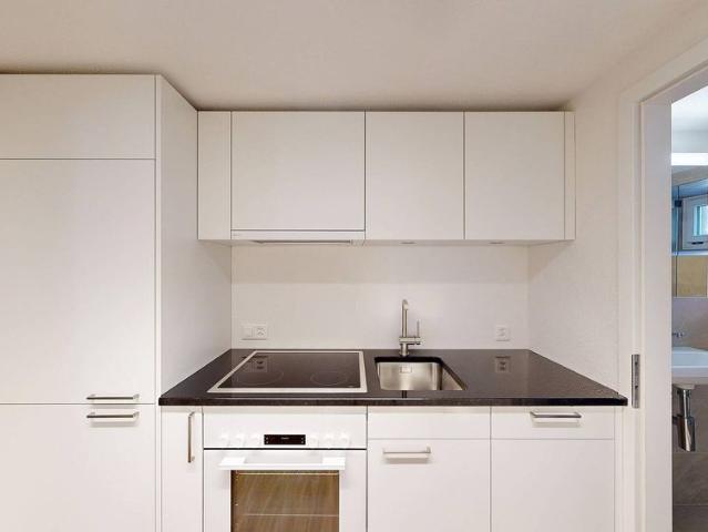 Frisch sanierte 2 Zimmer Wohnung