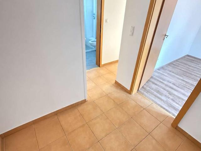 Frisch sanierte Wohnung im Dellviertel